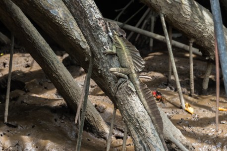 2014-JKH-Panama-D610-0696