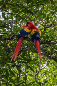 2014-JKH-Panama-D610-0700