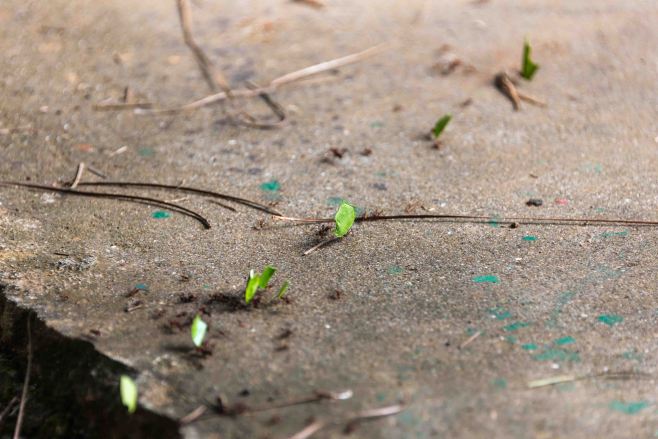 2014-JKH-Panama-D610-LR-1979