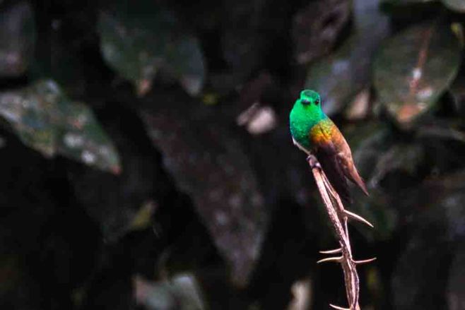 2014-JKH-Panama-D610-LR-2788