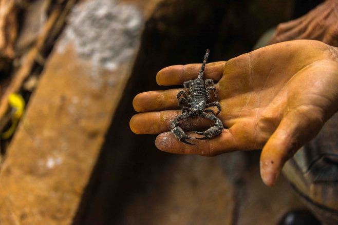 2014-JKH-Panama-D610-LR-2908