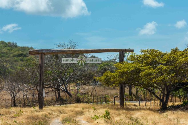 2014-JKH-Panama-D610-LR-3090