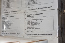 2015-IFRC-World Disasters Report Launch