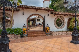 2016-LIO-Panama Mango Plantation Tour