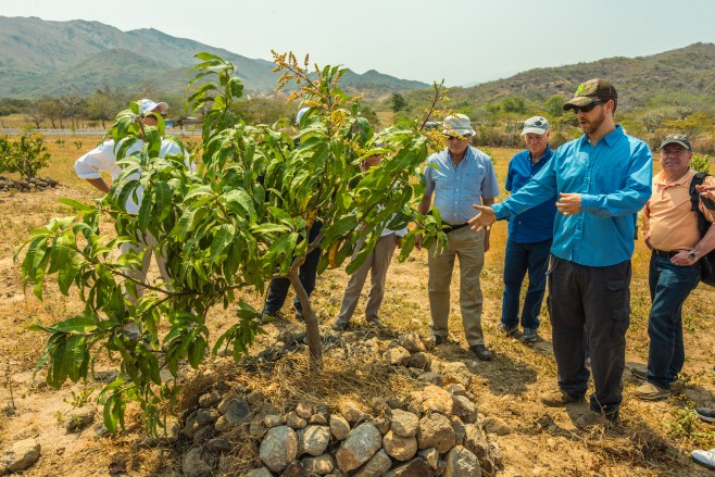 2016-LIO-Panama Mango Plantation Tour