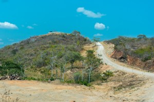 2016-LIO-Panama Mango Plantation Tour