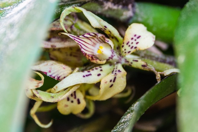 2016-JKH-Panama Trip